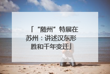 “随州”特展在苏州：讲述汉东形胜和千年变迁