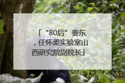 “80后”姜东，任怀柔实验室山西研究院副院长