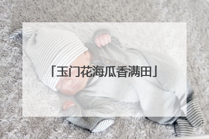 玉门花海瓜香满田