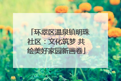环翠区温泉镇明珠社区：文化筑梦 共绘美好家园新画卷