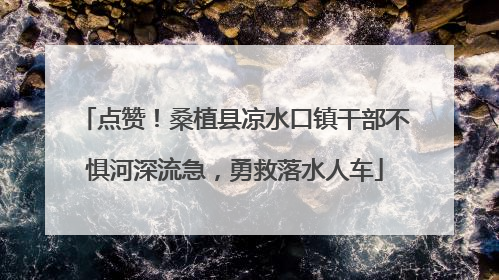 点赞！桑植县凉水口镇干部不惧河深流急，勇救落水人车