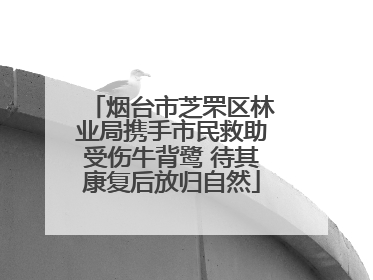 烟台市芝罘区林业局携手市民救助受伤牛背鹭 待其康复后放归自然