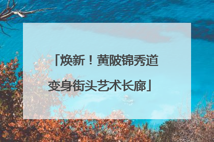焕新！黄陂锦秀道变身街头艺术长廊