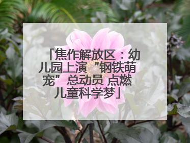 焦作解放区：幼儿园上演“钢铁萌宠”总动员 点燃儿童科学梦