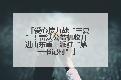 爱心接力战“三夏”！雷沃公益机收开进山东重工派驻“第一书记村”