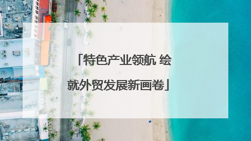 特色产业领航 绘就外贸发展新画卷