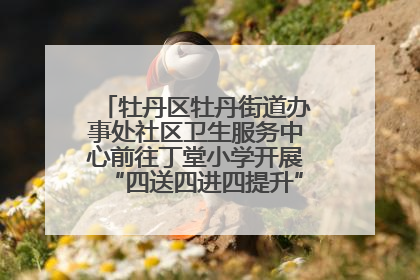 牡丹区牡丹街道办事处社区卫生服务中心前往丁堂小学开展“四送四进四提升”及无烟日宣传活动