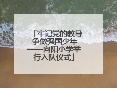 牢记党的教导 争做强国少年——向阳小学举行入队仪式