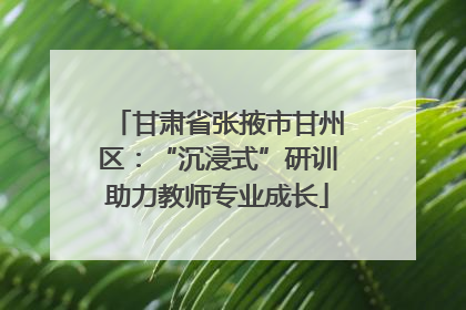 甘肃省张掖市甘州区：“沉浸式”研训助力教师专业成长