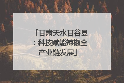 甘肃天水甘谷县：科技赋能辣椒全产业链发展