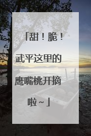 甜！脆！武平这里的鹰嘴桃开摘啦～