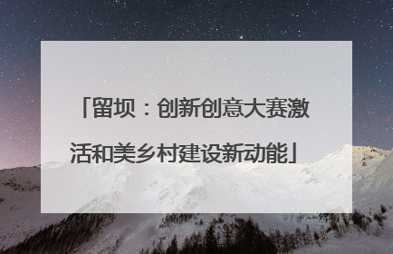 留坝：创新创意大赛激活和美乡村建设新动能