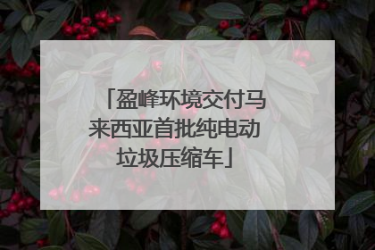 盈峰环境交付马来西亚首批纯电动垃圾压缩车