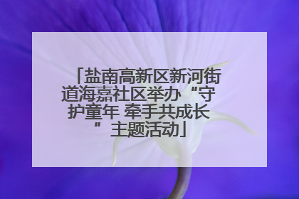 盐南高新区新河街道海嘉社区举办“守护童年 牵手共成长”主题活动