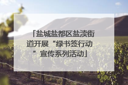 盐城盐都区盐渎街道开展“绿书签行动”宣传系列活动