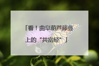 看！曲阜葫芦藤蔓上的“共富经”