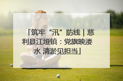 筑牢“汛”防线｜慈利县江垭镇：党旗映溇水 清淤见担当