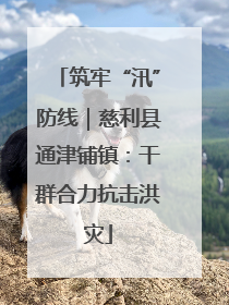 筑牢“汛”防线｜慈利县通津铺镇：干群合力抗击洪灾