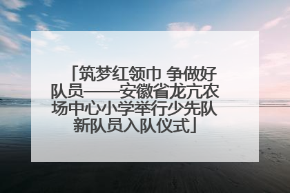 筑梦红领巾 争做好队员——安徽省龙亢农场中心小学举行少先队新队员入队仪式