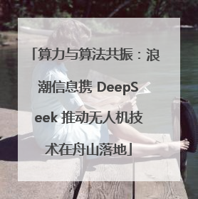 算力与算法共振：浪潮信息携 DeepSeek 推动无人机技术在舟山落地