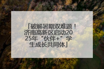 破解暑期双难题！济南高新区启动2025年“伙伴+”学生成长共同体