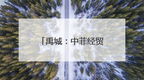 禹城：中菲经贸文化交流大会举办，职业教育合作开启新篇章