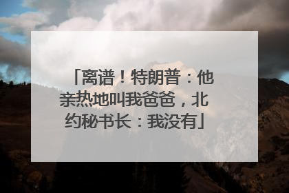 离谱！特朗普：他亲热地叫我爸爸，北约秘书长：我没有