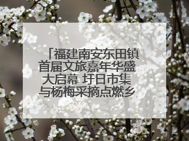 福建南安东田镇首届文旅嘉年华盛大启幕 圩日市集与杨梅采摘点燃乡村振兴新动能