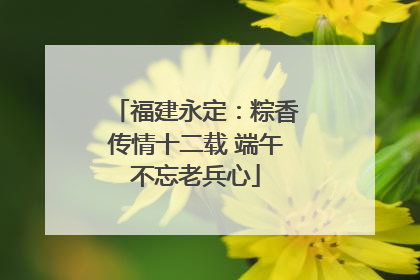 福建永定：粽香传情十二载 端午不忘老兵心