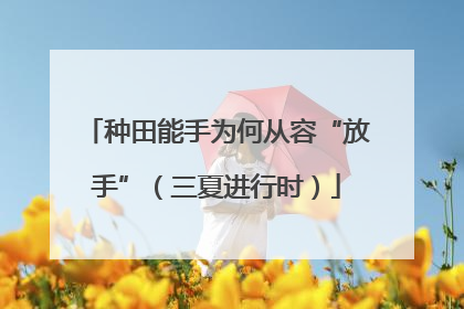 种田能手为何从容“放手”（三夏进行时）