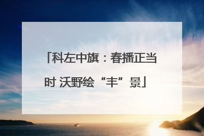 科左中旗：春播正当时 沃野绘“丰”景