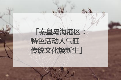 秦皇岛海港区：特色活动人气旺 传统文化焕新生