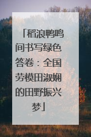 稻浪鸭鸣间书写绿色答卷：全国劳模田淑娴的田野振兴梦