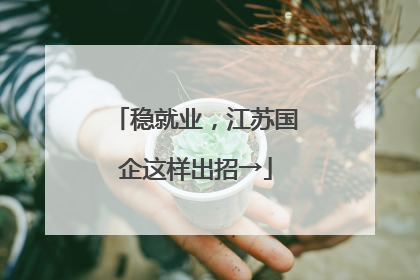 稳就业，江苏国企这样出招→