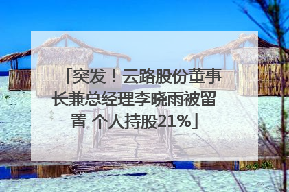 突发！云路股份董事长兼总经理李晓雨被留置 个人持股21%