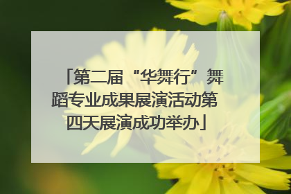 第二届“华舞行”舞蹈专业成果展演活动第四天展演成功举办
