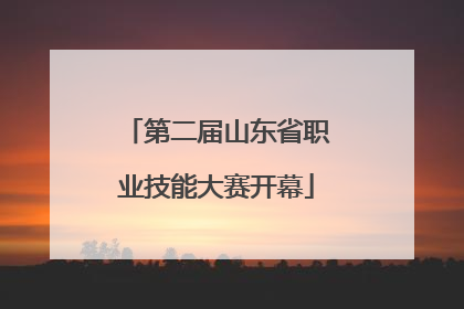 第二届山东省职业技能大赛开幕