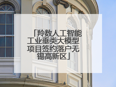 羚数人工智能工业垂类大模型项目签约落户无锡高新区