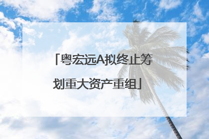 粤宏远A拟终止筹划重大资产重组