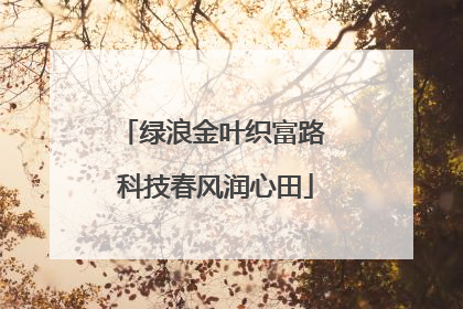 绿浪金叶织富路 科技春风润心田