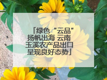 绿色“云品”扬帆出海 云南玉溪农产品出口呈现良好态势
