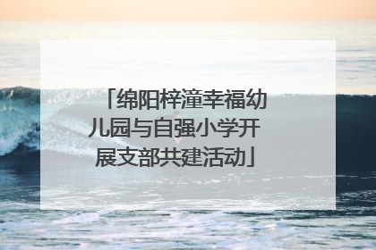 绵阳梓潼幸福幼儿园与自强小学开展支部共建活动