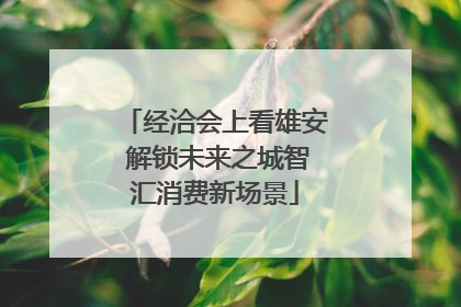 经洽会上看雄安 解锁未来之城智汇消费新场景