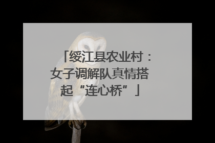绥江县农业村：女子调解队真情搭起“连心桥”