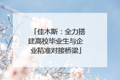 佳木斯：全力搭建高校毕业生与企业精准对接桥梁