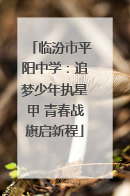 临汾市平阳中学：追梦少年执星甲 青春战旗启新程