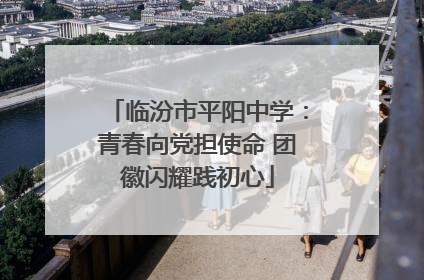 临汾市平阳中学：青春向党担使命 团徽闪耀践初心