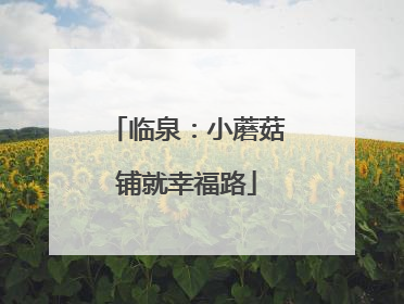 临泉：小蘑菇铺就幸福路