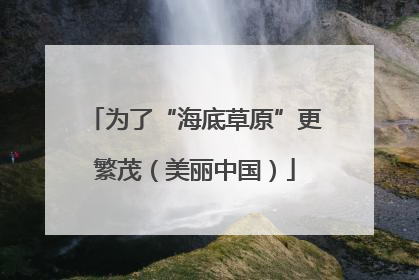 为了“海底草原”更繁茂（美丽中国）