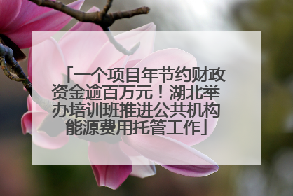 一个项目年节约财政资金逾百万元！湖北举办培训班推进公共机构能源费用托管工作
